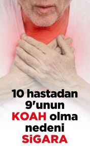 10 hastadan 9'unun KOAH olma nedeni sigara